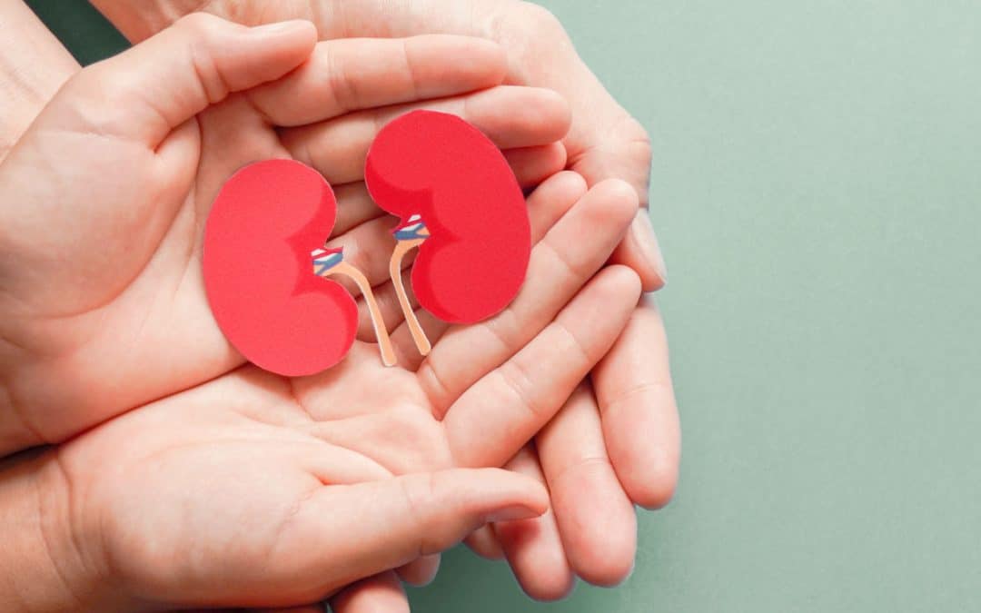Universal Ultrasound Diagnostics Guide to Kidney Function and Disease