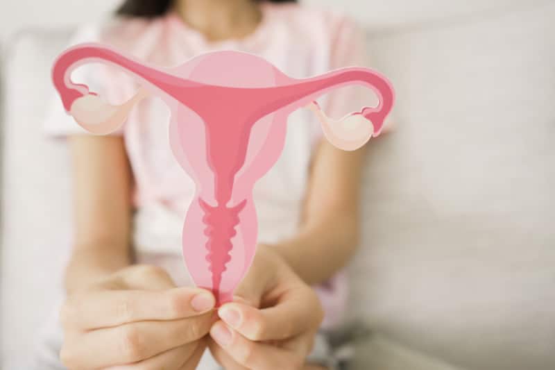 Common Female Fertility Problem Common Female Fertility Problem