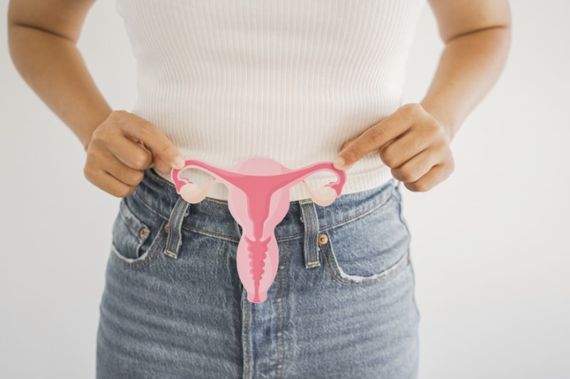 What is Female Fertility What is Female Fertility