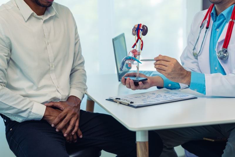What is male fertility What is male fertility