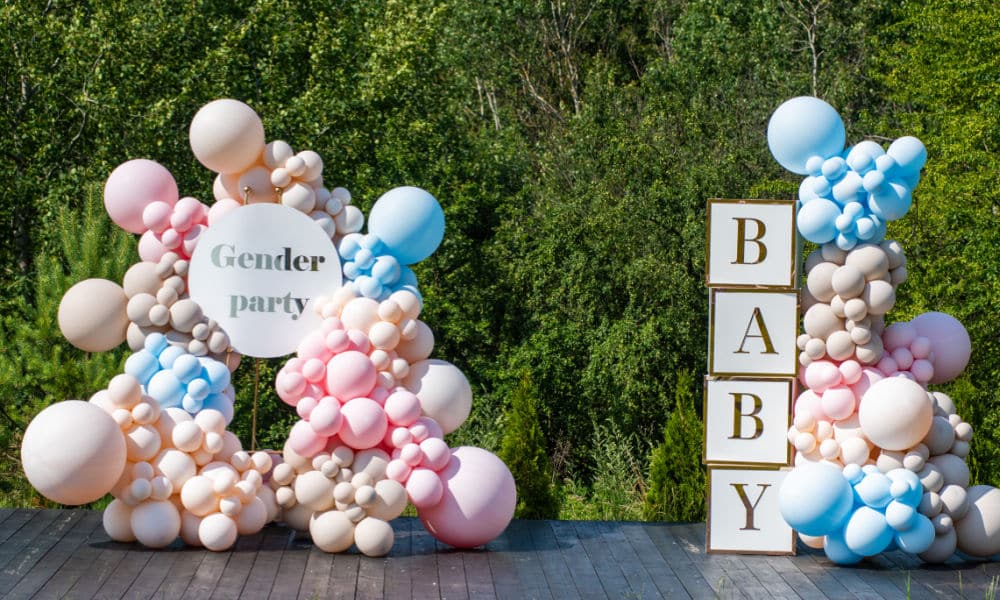 Gender Reveal Party Gender Reveal Party