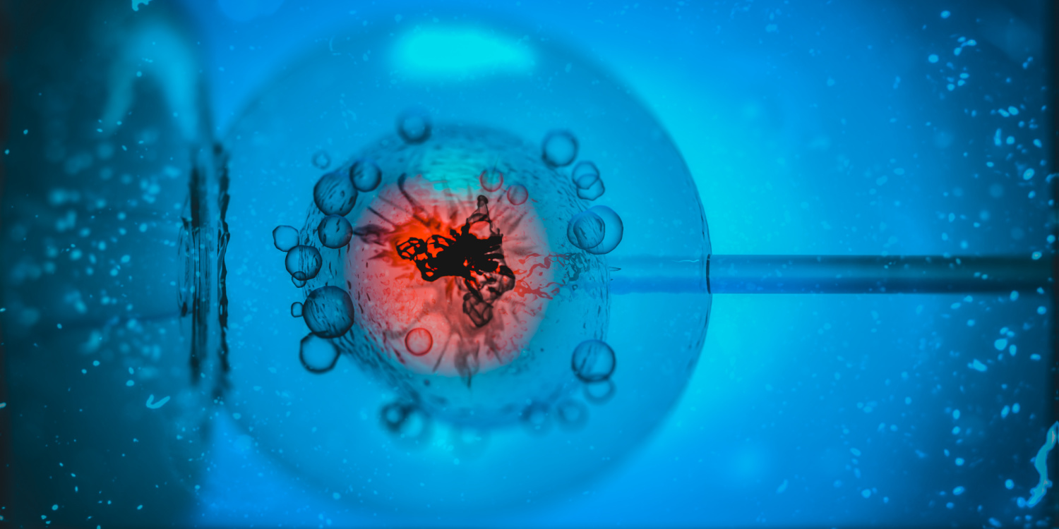 Fertility IVF and the Thyroid Gland in Women