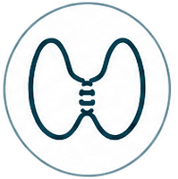 Thyroid
